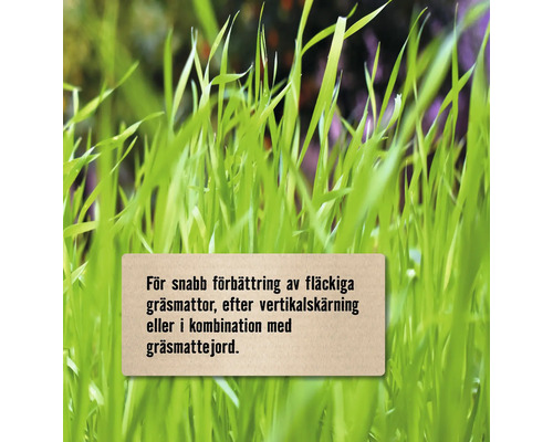 Gräs med text som hänvisar till snabb förbättring av fläckiga gräsmattor, efter vertikalskärning eller i kombination med gräsmattejord.