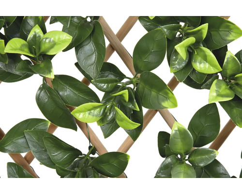 Dekorativt spaljé med gröna blad