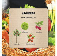 Illustration av användningsområden för produkter från grönsaksträdgården: grönsaker, bärbuskar, fruktträd och fruktgrönsaker.