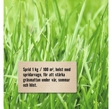 Närbild av grön gräsmatta med instruktioner för gräsmatteskötsel