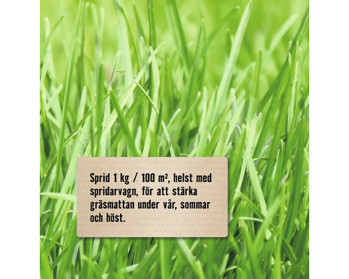 Närbild av grön gräsmatta med instruktioner för gräsmatteskötsel