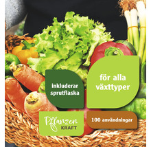 Korg med grönsaker och Pflanzenkraft logotyp