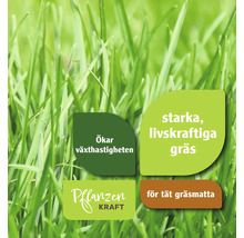 Närbild av gräsmatta med noteringen: Ökar tillväxthastigheten, starkt, vitalt gräs, för en tät gräsmatta och växtkraft