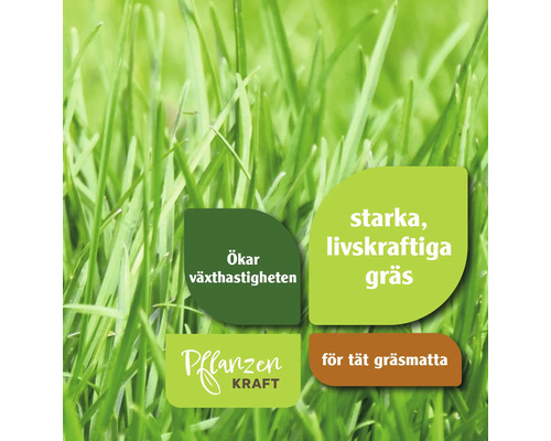 Närbild av gräsmatta med noteringen: Ökar tillväxthastigheten, starkt, vitalt gräs, för en tät gräsmatta och växtkraft