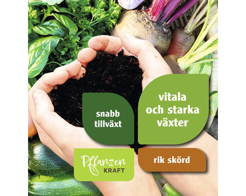 "Händer som håller jord