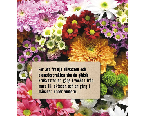 Blomsterarrangemang med skötselråd för krukväxter