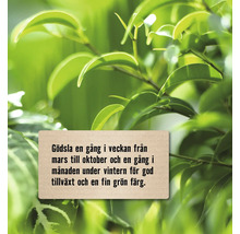 Instruktioner för gödsling av växter mellan mars och oktober.