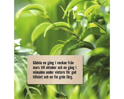 Instruktioner för gödsling av växter mellan mars och oktober.