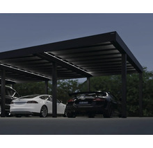 4 bilars carport CANOPIA by Palram Oslo 6x12m svart