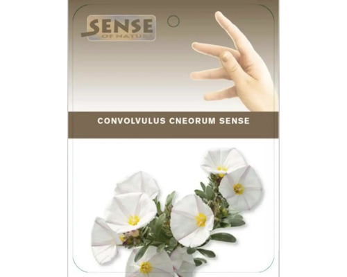 Förpackning med Convolvulus cneorum Sense blomfrön