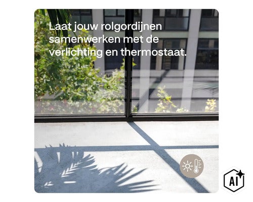 Utsikt genom ett fönster mot en trädgård med skuggan av ett palmblad på golvet och en symbol för smart klimatstyrning. (Image AI modified or generated)