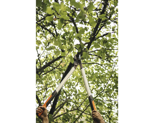 Trädvård med en grensax i ett träd