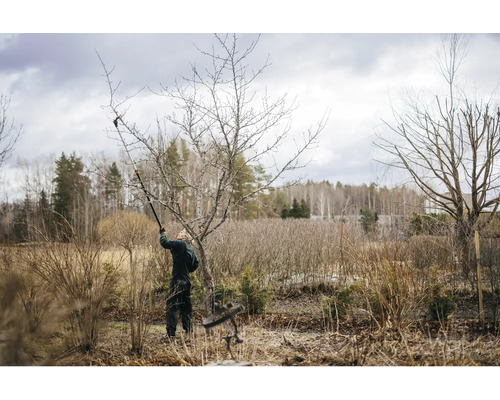 En person beskär ett träd med en grensax i trädgården.
