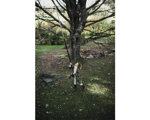 Kvinna använder en grensax med teleskopskaft under ett träd i trädgården.