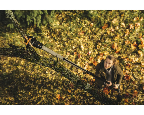 Kvinna använder en grensax med teleskopskaft för att beskära ett träd.