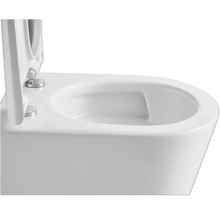 Detaljvy av en vägghängd toalett med öppet toalettlock.