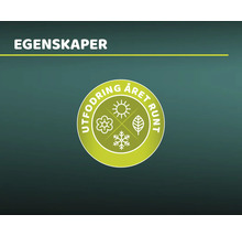 Symbol för utmaning året runt
