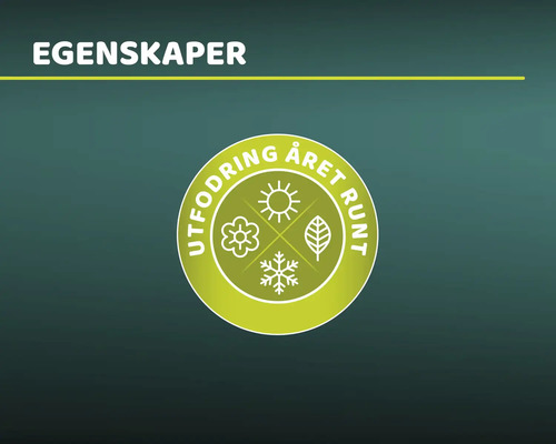 Symbol för utmaning året runt