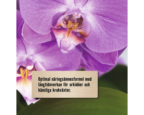 Optimal näringsämnesformel med långtidseffekt för orkidéer och känsliga krukväxter