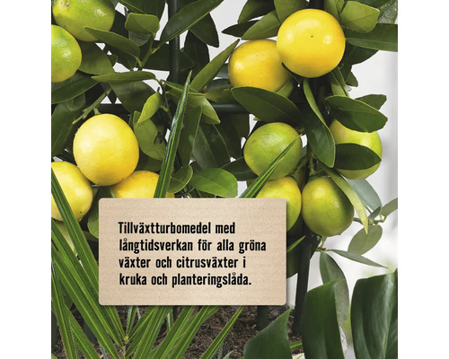 Citrusväxt med frukt och en skylt med information om tillväxtaccelerator.