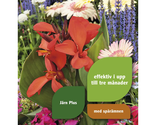 Blomsterarrangemang med näringsämnen i upp till tre månader