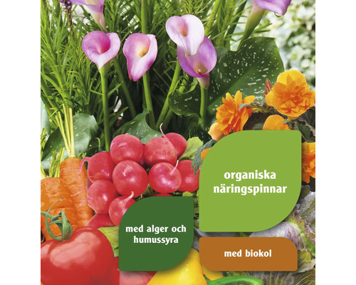 Blommor och grönsaker med hänvisningar till organiska näringsämnen