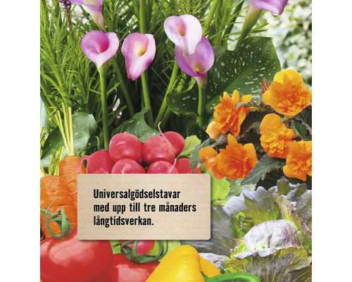 Grönsaksträdgård med olika växter och en anteckning om universella gödningspinnar