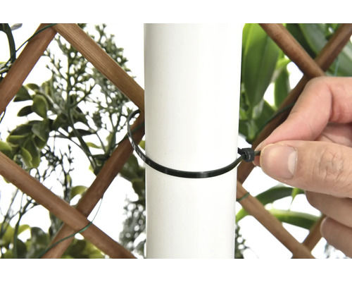 Fästning av ett insynsskydd på en stolpe med buntband