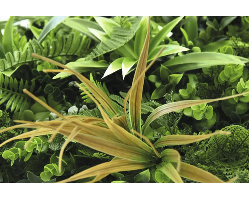 Närbild av en konstgjord växtvägg med diverse gröna blad