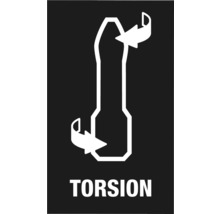 Torsionssymbol