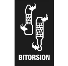 Bitorsion symbol