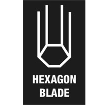 Symbol för sexkantigt blad