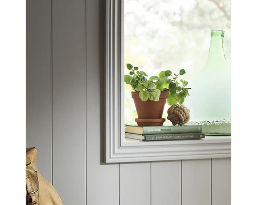 Dekorativ fönsterbräda med krukväxt, böcker, dekorativ knut och glasflaska