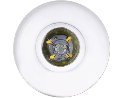 Närbild av en klar glödlampa