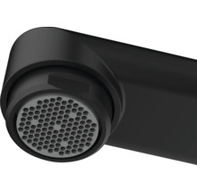Närbild av ett svart kranhuvud med en strålregulator i form av en bikaka