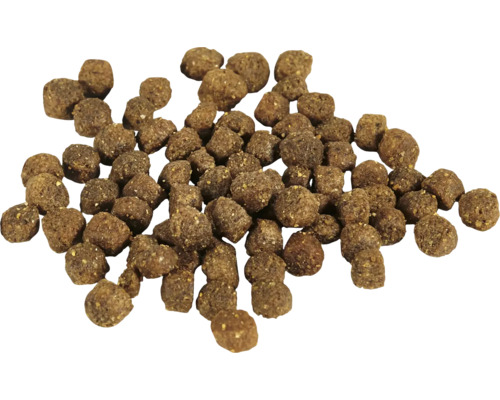 Hög med torrfoder för hundar