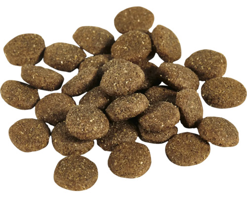 Hög med torrfoder för hundar