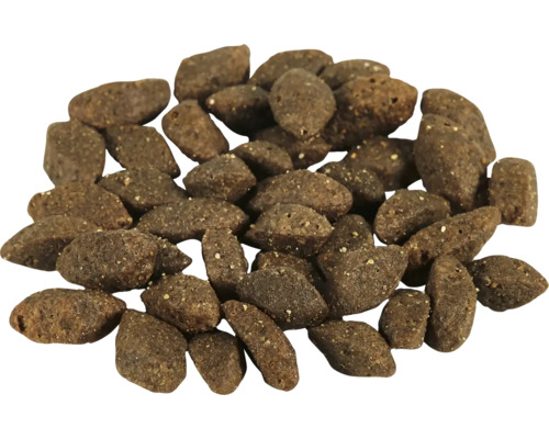 Hög med torrt hundfoder