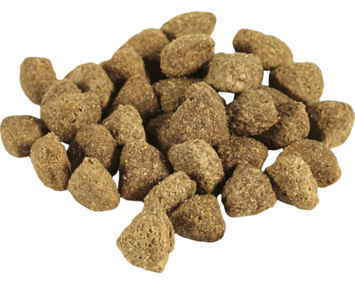 Brunt torrfoder för hundar