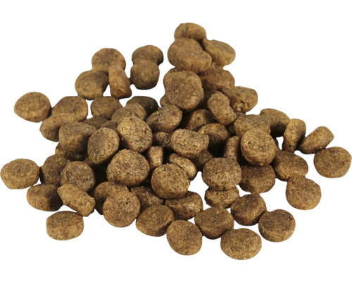 Hög med torrfoder för hundar