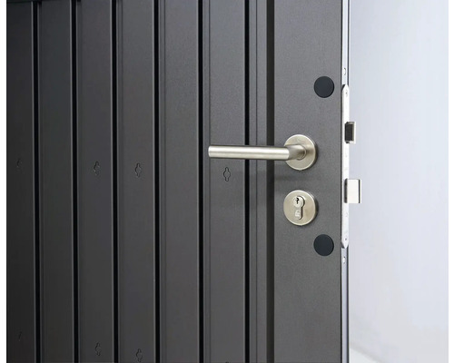 Detaljvy av en ytterdörr med dörrhandtag och lås