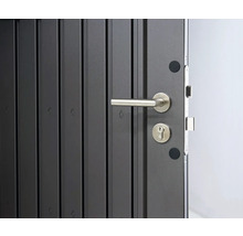Redskapsbod BIOHORT HighLine H5 standarddörr 275x315cm mörkgrå-metallic