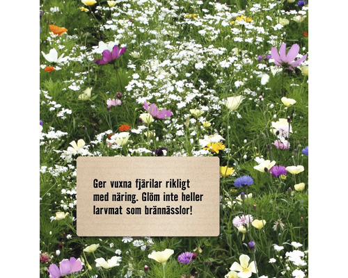 Blomsteräng med information om näring för fjärilar och larver