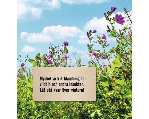 Blomsteräng med skylt för insektsblandning