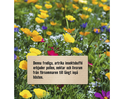 Blomsteräng med olika blommor