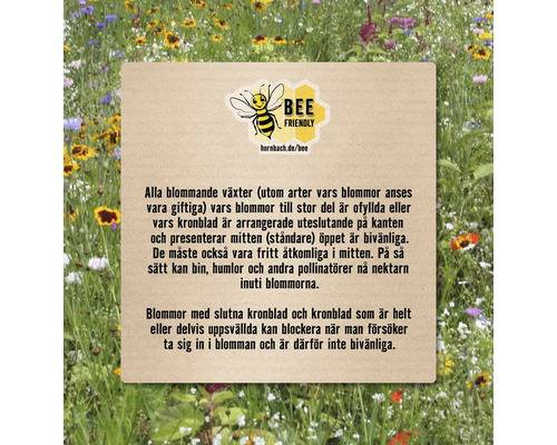 Information om bi-vänliga blommor.