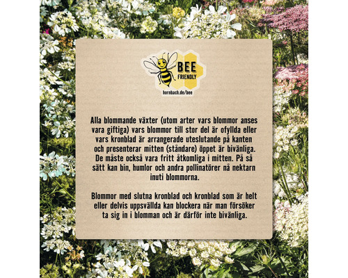 Information om hur man gör växter bivänliga