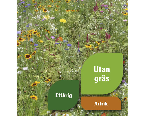 Blomsteräng med olika vilda blommor och anteckningarna: utan gräs, ettårig och artrik.