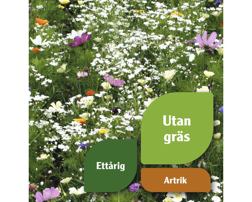 Blomsteräng med ettåriga blommor