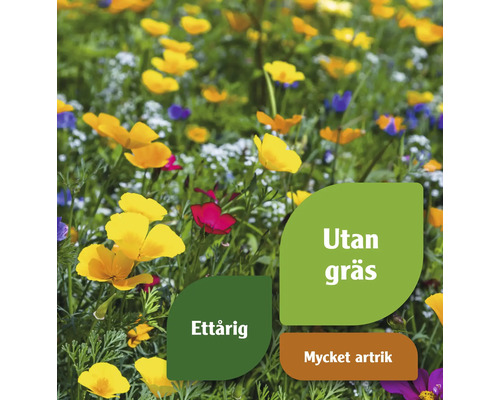 Blomsteräng utan gräs med ettåriga och artrika växter